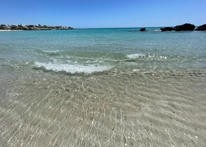 Dal Cappellaio Matto